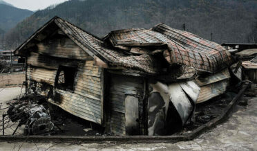 جنوبی کوریا کے جنگلات میں لگنے والی آگ سب سے بڑی اور مہلک ترین قرار