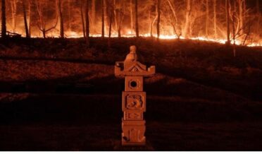 جنوبی کوریا کے جنگلات میں لگی آگ پھیلنے سے 19 افراد ہلاک، قدیم مندر منہدم