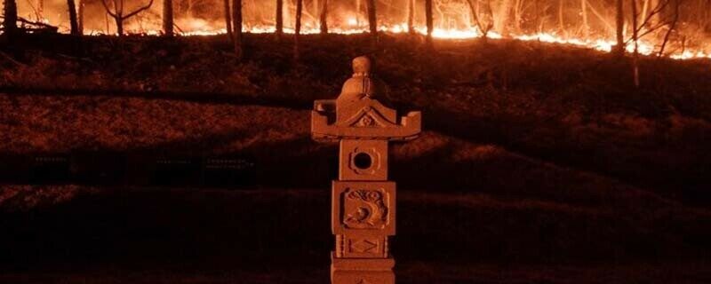 جنوبی کوریا کے جنگلات میں لگی آگ پھیلنے سے 19 افراد ہلاک، قدیم مندر منہدم