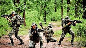 کوبرا کمانڈوز کو پہلی بار جموں کے جنگلات میں تعینات کیا جا رہا ہے