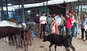 کمشنر سیکرٹری ہائوسنگ و اَربن ڈیولپمنٹ اور کمشنر جے ایم سی کا جموں میں اینمل کیئر سینٹر کا دورہ