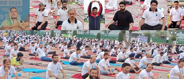 11 ویں بین الاقوامی یوگا دن