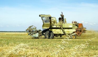 یوکرین کا بنگلہ دیش پر’چوری شدہ‘ گندم خریدنے کا الزام