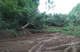 تاریخی کھیل کا میدان بند، بچے مایوس