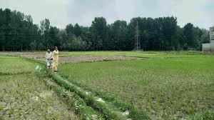 زمینوں کی سینچائی اور پینے کے پانی کی عدم دستیابی سے لوگ پریشان