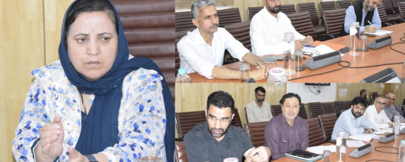 سکینہ اِیتو نے بدھل اور سرنکوٹ اسمبلی حلقوں میں صحت منظرنامے کا جائزہ لیا