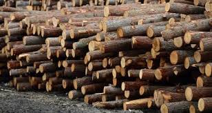Lack of availability of construction timber in most areas of Baramulla