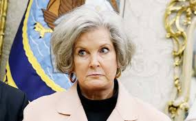 امریکی چیف آف اسٹاف کے ایلون مسک اور وینس پرسنگین الزامات