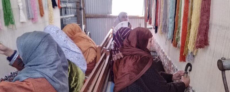 محکمہ ہینڈی کرافٹ نے سمرتھ سکیم کے تحت کشمیر میں قالین بافی کے احیاء کیلئے ہنر مندی کی تربیت کا آغاز کیا