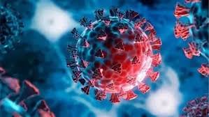 فلو وائرس کی نئی قسم پورے امریکہ، کینیڈا میں کر رہی ہے کیسز میں اضافہ