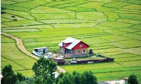 10لاکھ کنال زیر کاشت ارضی سکڑنے کا شاخسانہ