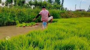 محنت و روزگار شعبے کیلئے 244 کروڑ روپے سرمایہ کی منظوری