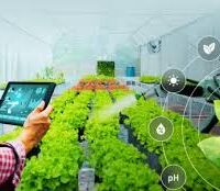 باغبانی کے شعبے میں ٹیکنالوجی پر مبنی اصلاحات کا آغاز