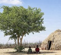 معمول سے پہلے گرمی! پنجاب، ہریانہ اور دہلی کے درجہ حرارت میں اضافہ، ہولی کے آس پاس بلے گا موسم