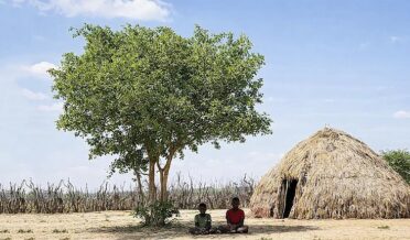 معمول سے پہلے گرمی! پنجاب، ہریانہ اور دہلی کے درجہ حرارت میں اضافہ، ہولی کے آس پاس بلے گا موسم