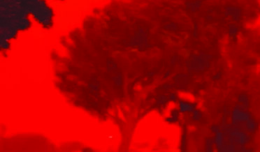 آسٹریلیا میں خونی آسمان کا خوفناک منظرتفریحی شہر ڈینہم میں عوام دہشت زدہ