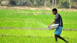 ایران بحران کے باعث کھاد کی فراہمی کے خدشات