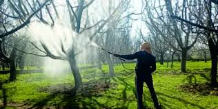 پھلوں کا سیزن شروع ہوتے ہی کشمیر میں جعلی کیڑے مار ادویات کا انکشاف