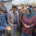 سکینہ اِیتو نے ضلع کولگام کے ژالہ باری سے متاثرہ دیہاتوں کا دورہ کیا