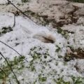 کشمیر میں شدید موسمی واقعات کے امکانات میں اضافہ