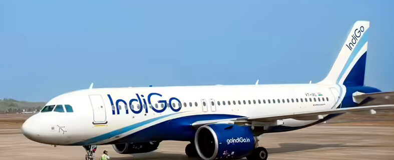 indigo