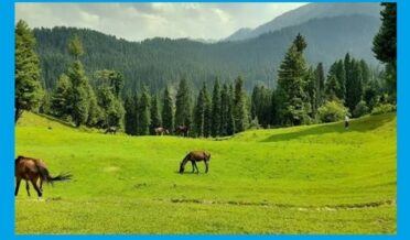 ہیجن برنوار جموںوکشمیر کے سیاحتی نقشے کی دہلیز پر ۔سپیکر جموںوکشمیر قانون ساز اسمبلی