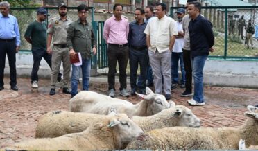 جاوید ڈار نے کھمبر فارم میں شیپ بریڈنگ کے اقدامات کا جائزہ لیا