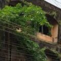 خستہ حال اور غیر محفوظ عمارتوں کی نشاندہی کےلئے خصوصی مہم شروع
