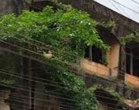 خستہ حال اور غیر محفوظ عمارتوں کی نشاندہی کےلئے خصوصی مہم شروع