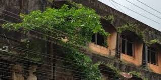 خستہ حال اور غیر محفوظ عمارتوں کی نشاندہی کےلئے خصوصی مہم شروع