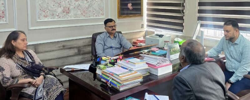 لکڑی کی نیلامی کیلئے ماہانہ ہدف مقرر کریں ۔ جاوید رانا