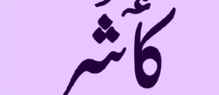 اسمبلی میں کشمیری زبان کے لیے مترجم کی سہولت فراہم کرنے پر کام جاری